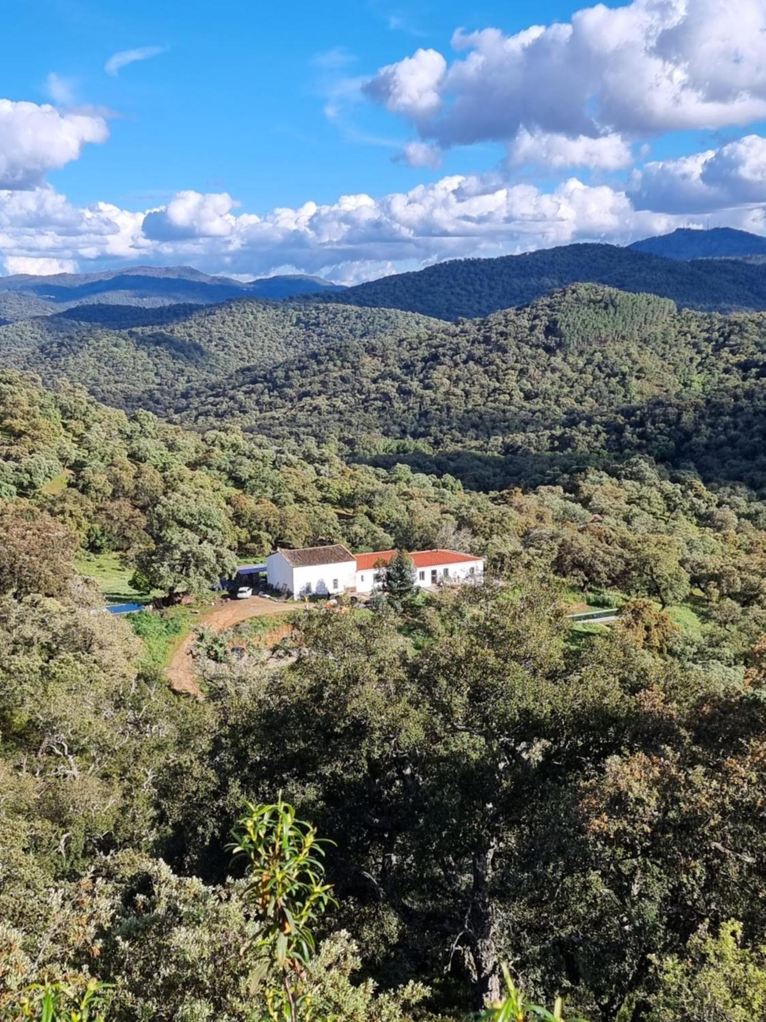 Finca Bravo Кортегана Екстер'єр фото
