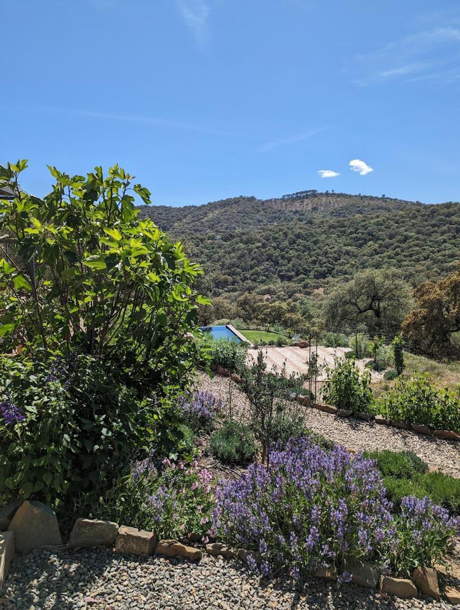 Finca Bravo Кортегана Екстер'єр фото