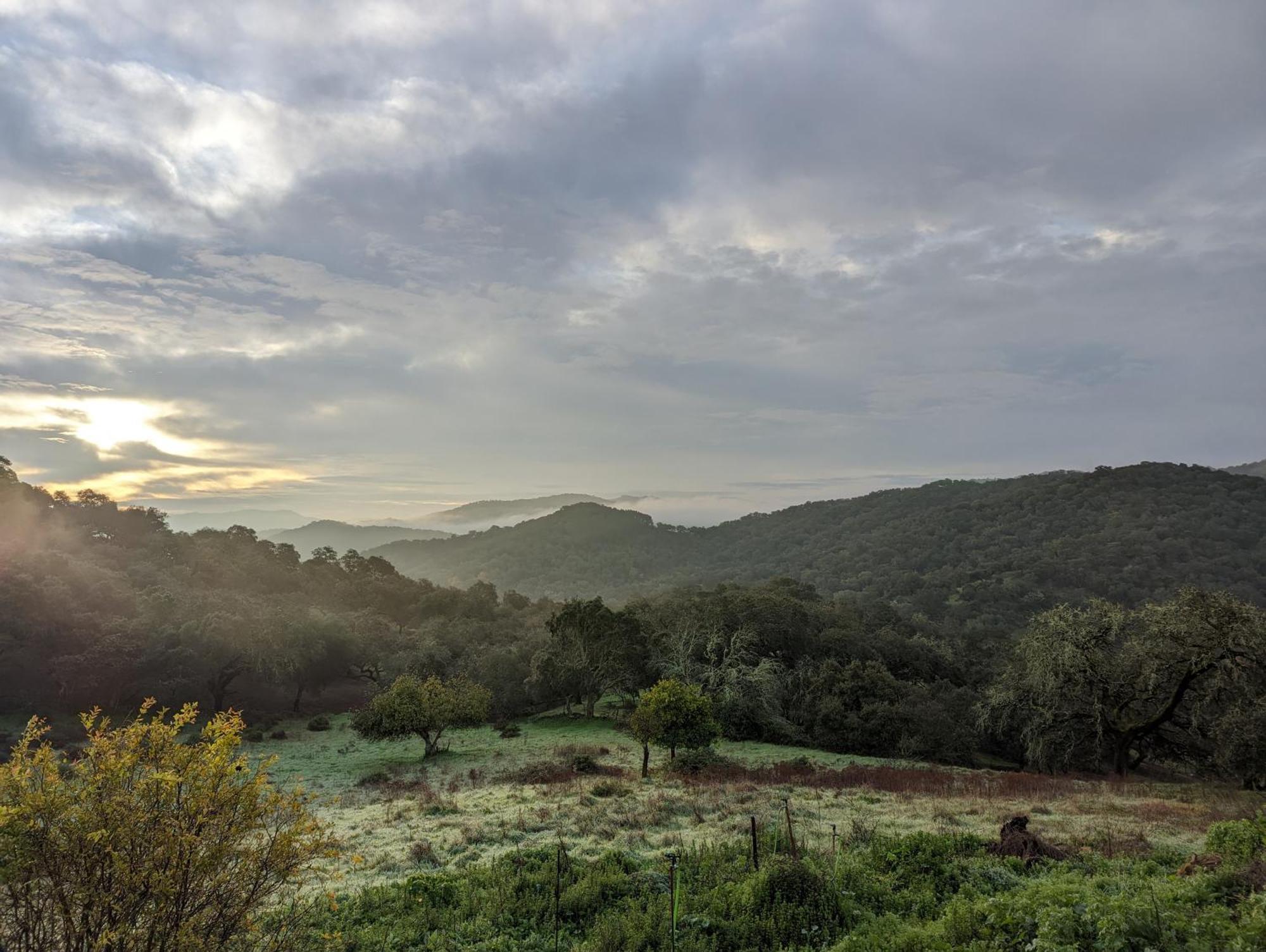 Finca Bravo Кортегана Екстер'єр фото