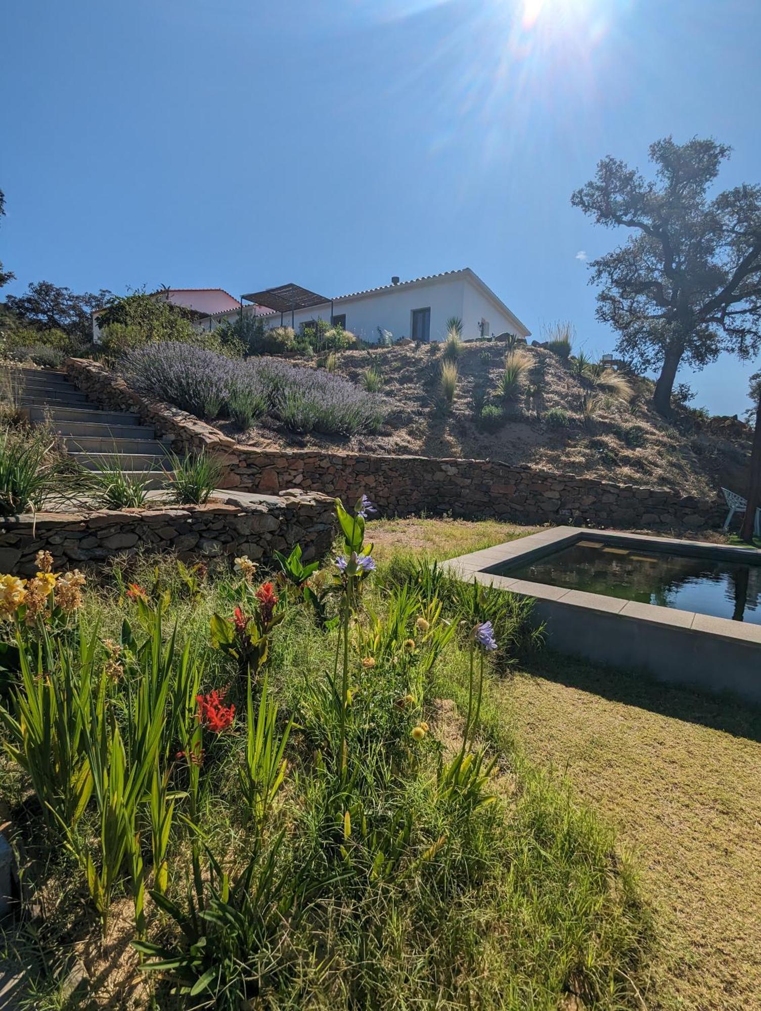 Finca Bravo Кортегана Екстер'єр фото